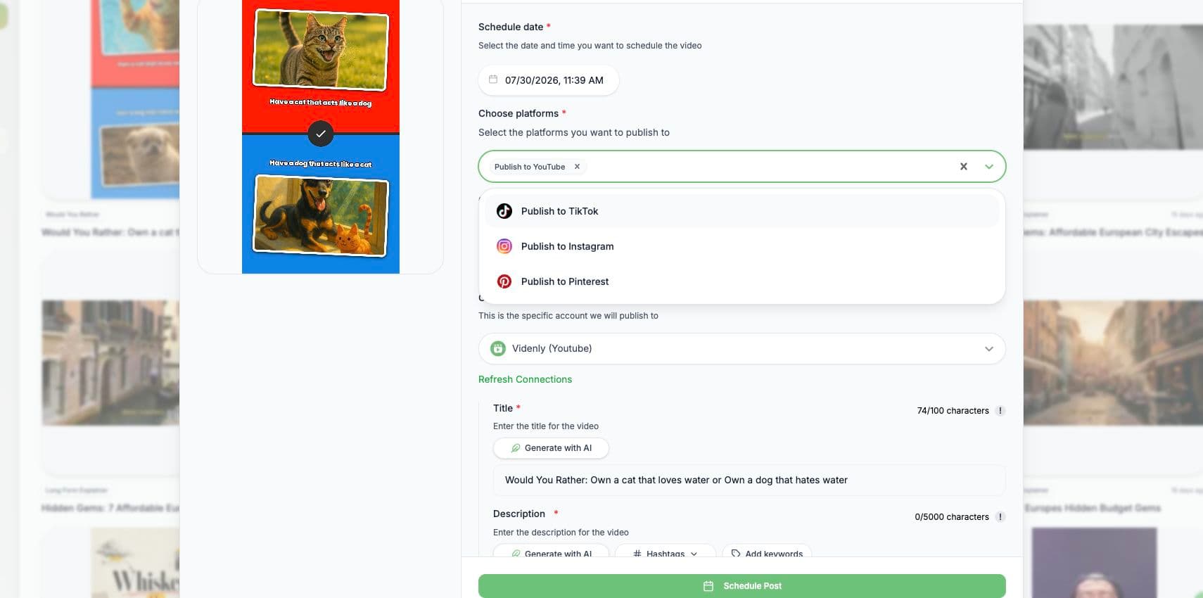 Publishing controls inside Videnly