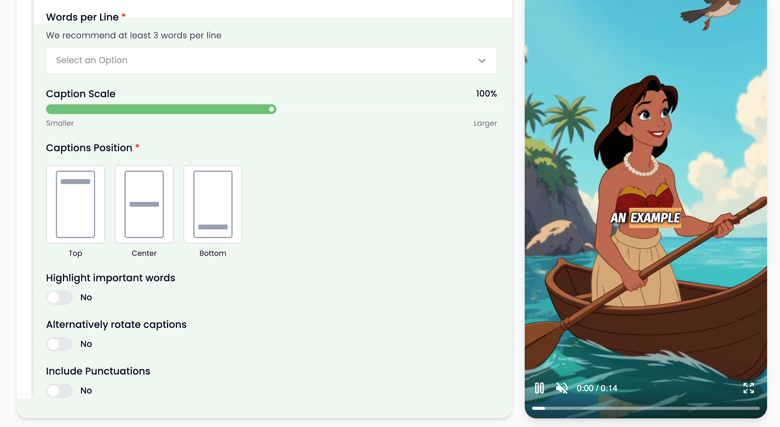 Caption controls and preview inside Videnly