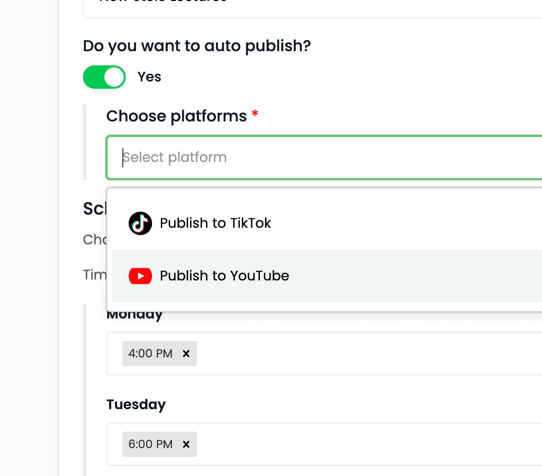 YouTube publishing integration in Videnly