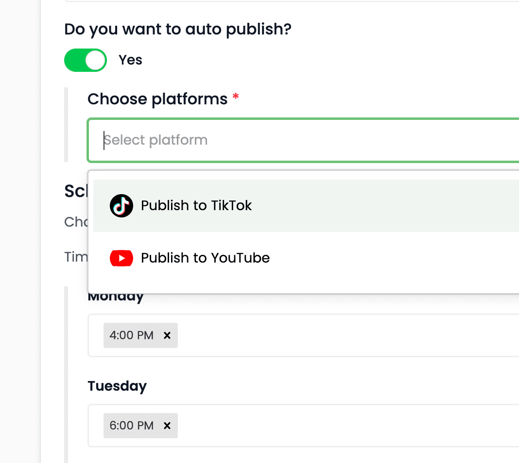 TikTok publishing integration in Videnly